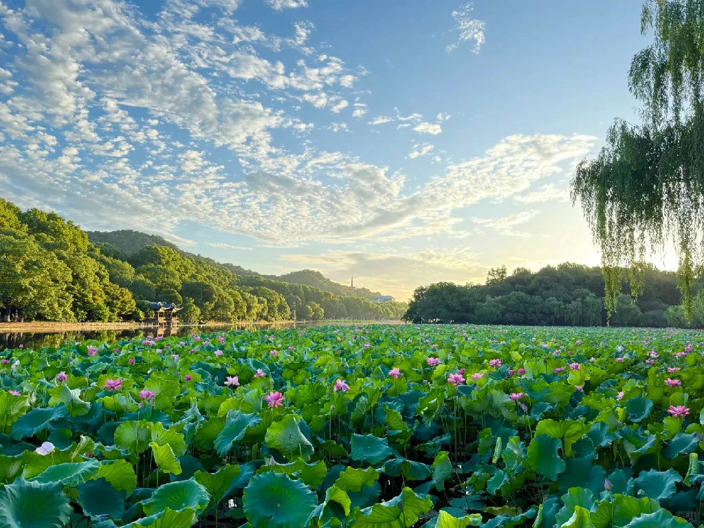 West Lake