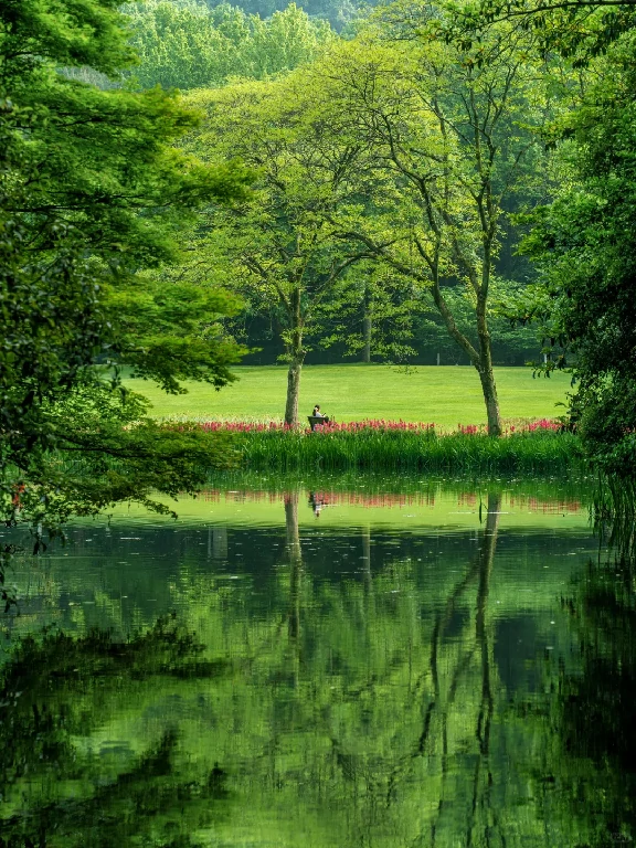 Tour image