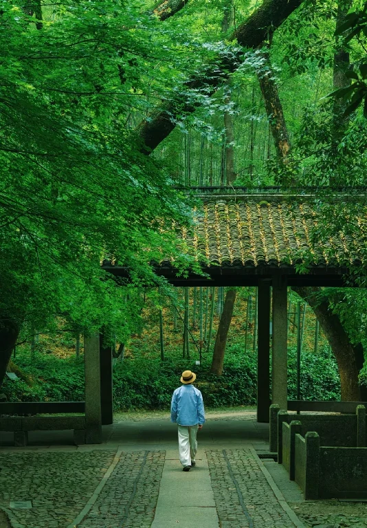 旅客旅遊照片